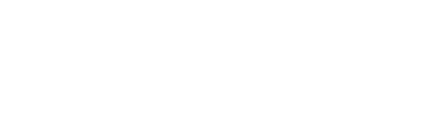 AION Logo